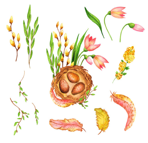 一套春天的水彩画:巢里有蛋，用花朵、树叶、羽毛和小树枝装饰。复古季节假日组合孤立在白色背景。贺卡，礼物和复活节。图片下载