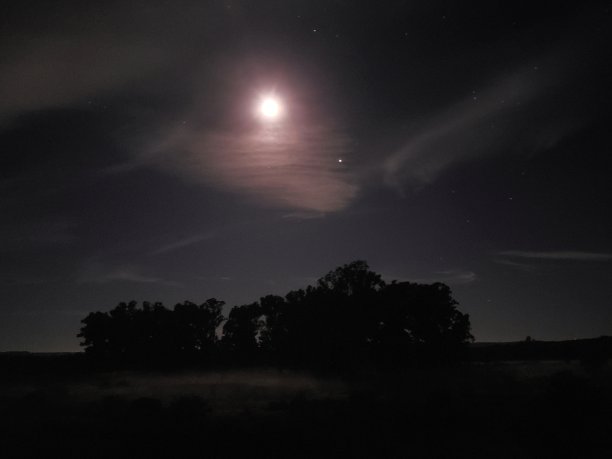 非凡的sky.99图片下载