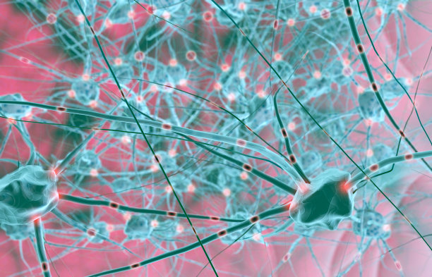 神经网络脑细胞显微图图片下载