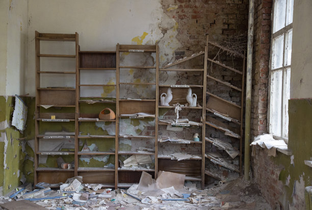 乌克兰废弃的切尔诺贝利核反应堆发电厂的一个苗圃图片下载