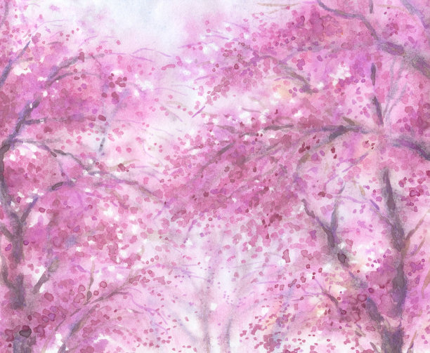 开花树木的树冠。图片下载