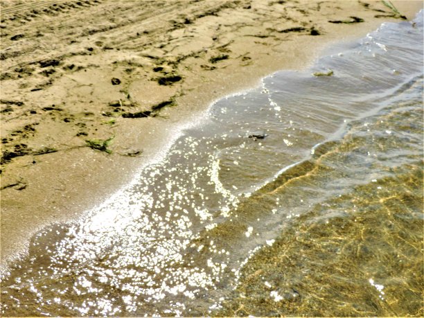 清澈平静的大海和沙滩图片下载