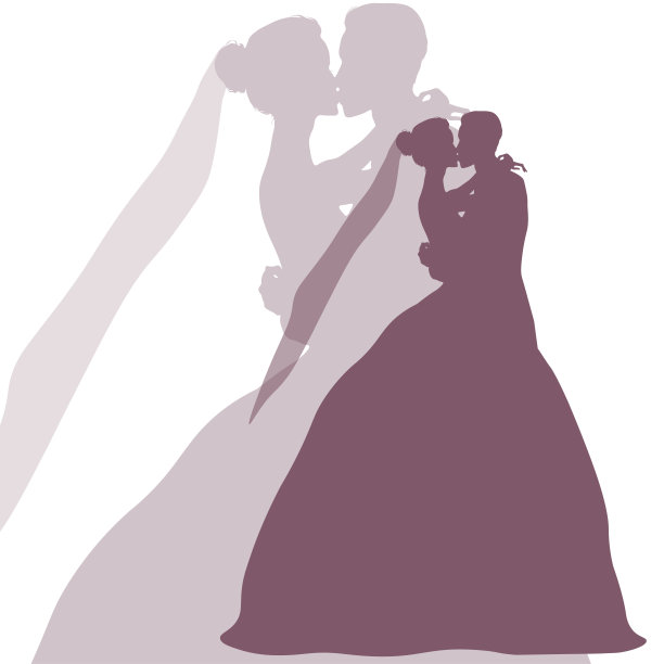 新娘和新郎的剪影。拥抱和亲吻的情侣图片下载
