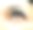 女人的眼皮闪着银光图片下载