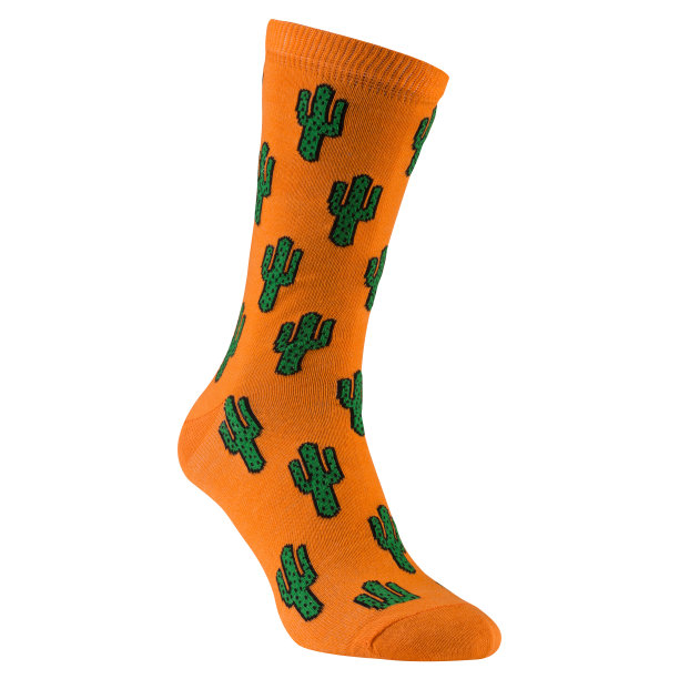 体积橙色袜子与绿色仙人掌，在白色的背景图片下载