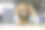 一个小女孩被塑料玩具动物和用铅笔画的木制几何图形包围着图片下载