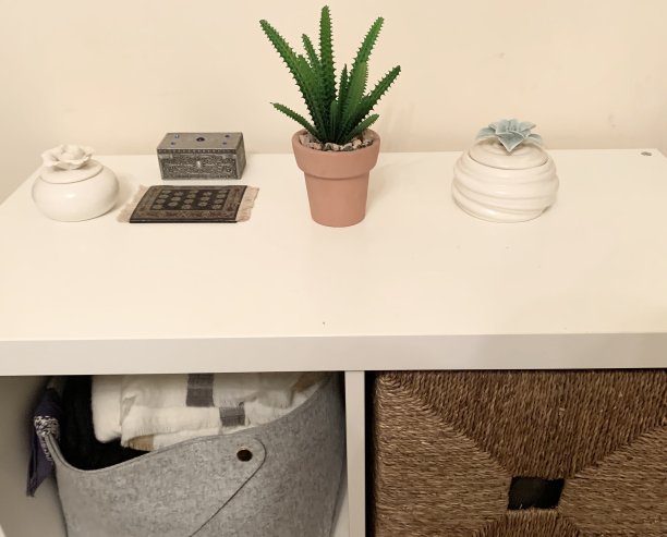 装饰植物图片下载