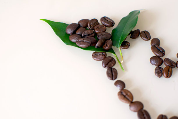 在明亮的背景上，咖啡豆和心形的叶子。图片下载