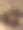 家猫粪便虫图片下载