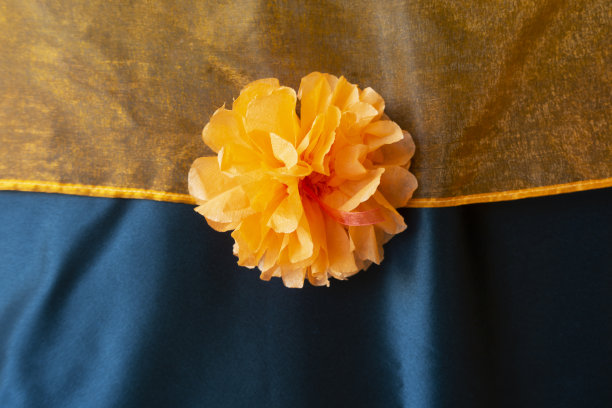 橙色假花蚁织物纹理图片下载