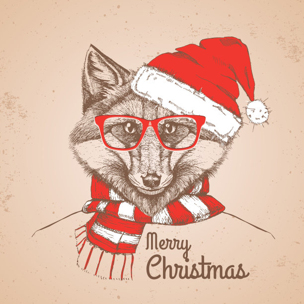 圣诞潮时尚动物狐狸戴上了新年帽子和围巾图片下载