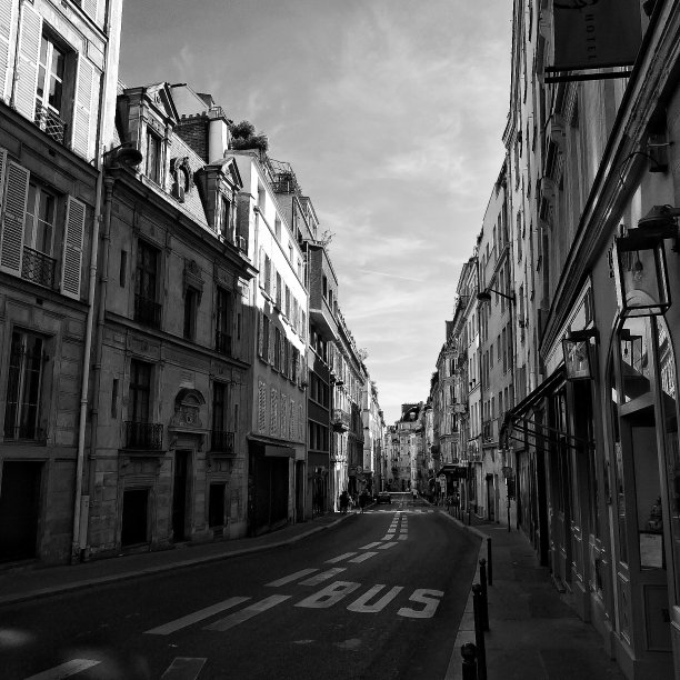 巴黎的街头图片下载