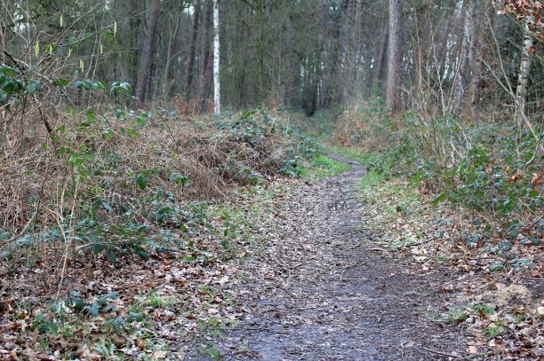 方法就是目标图片下载