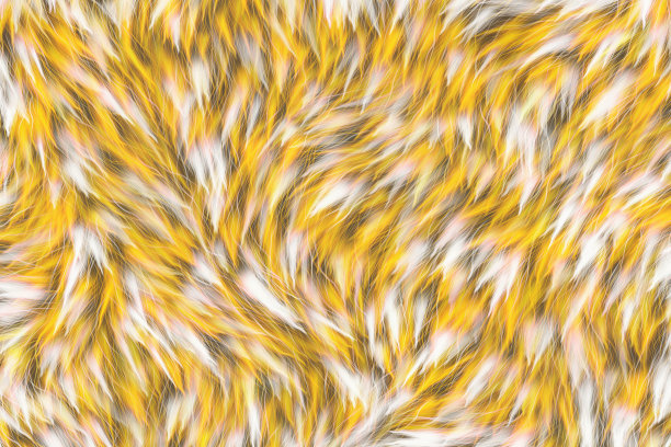 动物毛发质地厚，暖色图片下载