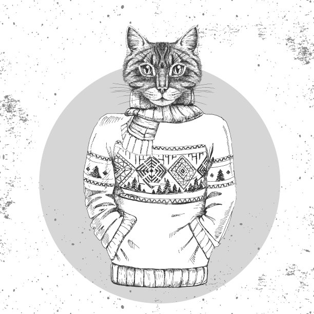 复古潮时尚的动物猫穿着套头衫。潮人的动物图片下载