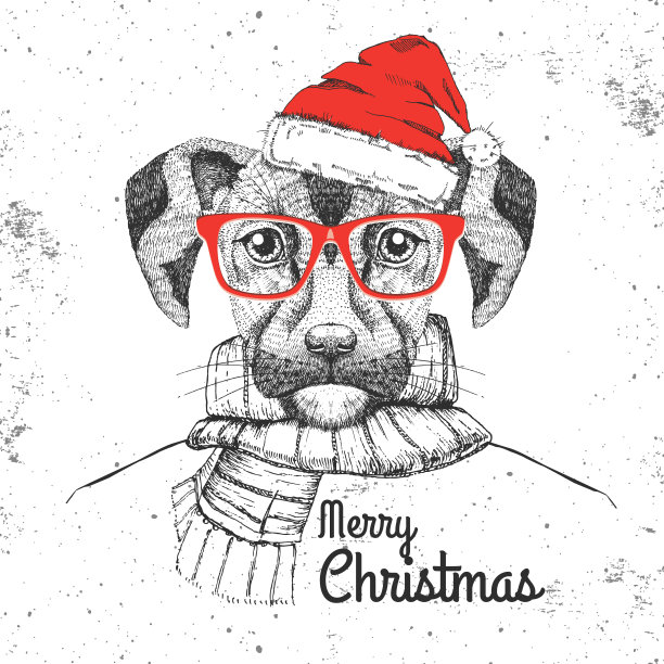 圣诞潮时尚动物狗装扮新年帽子和围巾图片下载