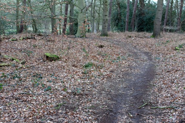 方法就是目标图片下载