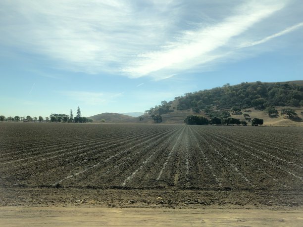 农村:夺回土地图片下载