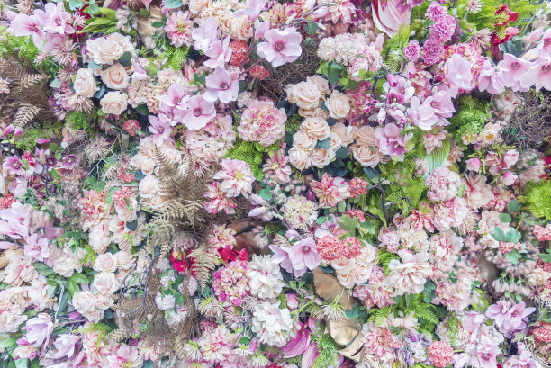 花的背景图片下载