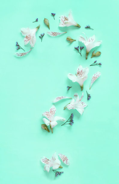 在浅绿色的背景上用花朵做成的问号图片下载