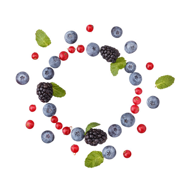 不同浆果的花环。图片下载