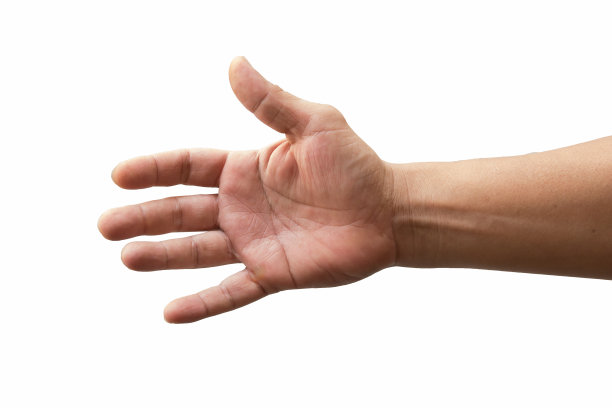 手放在白色背景上图片下载