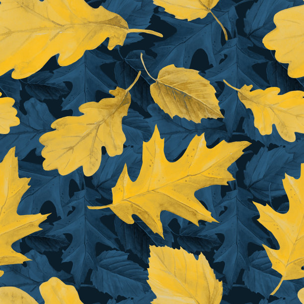 水彩无缝图案的秋叶。图片下载