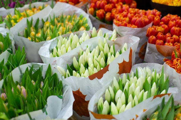 白色和红色的郁金香成束。批发花卉基地，在2月14日情人节或3月8日国际妇女节购买鲜花。图片下载