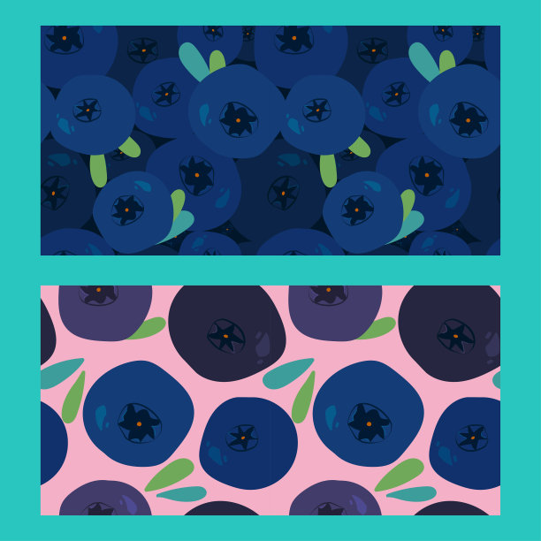 两种蓝莓和树叶的图案图片下载