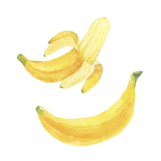 在白色背景上分离的香蕉。Handdrawn插图图片下载
