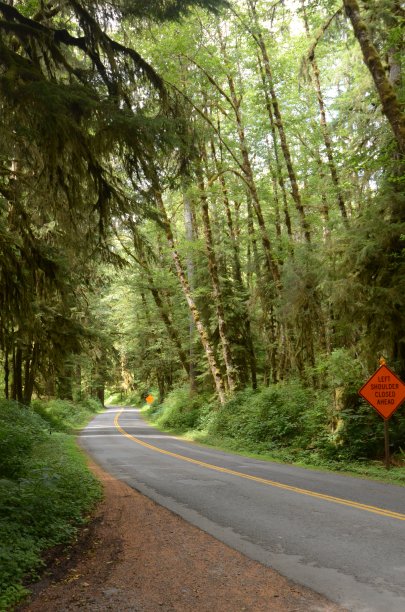 绿色出图片下载