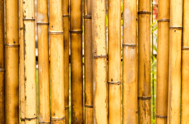 竹篱以竹子为背景的篱笆图片下载