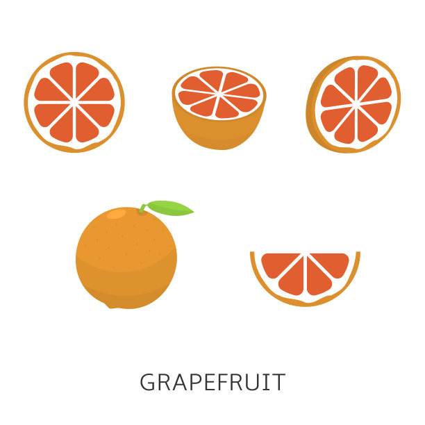 葡萄柚向量图图片下载