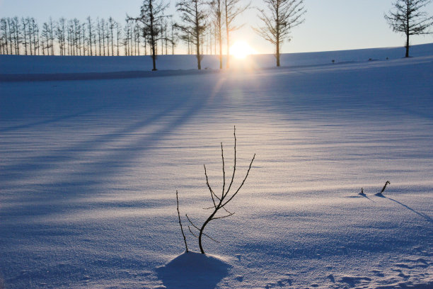 冬天的山在哪里，夕阳在那边图片下载