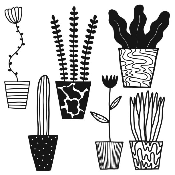 载体植物和仙人掌集图片下载