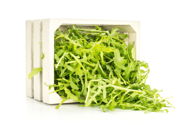 新鲜生芝麻菜(rucola)孤立在白色图片下载