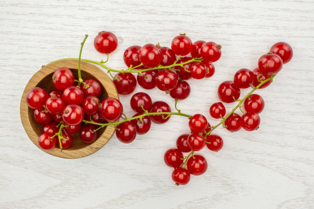 新鲜的生红醋栗在灰色的木头上图片下载