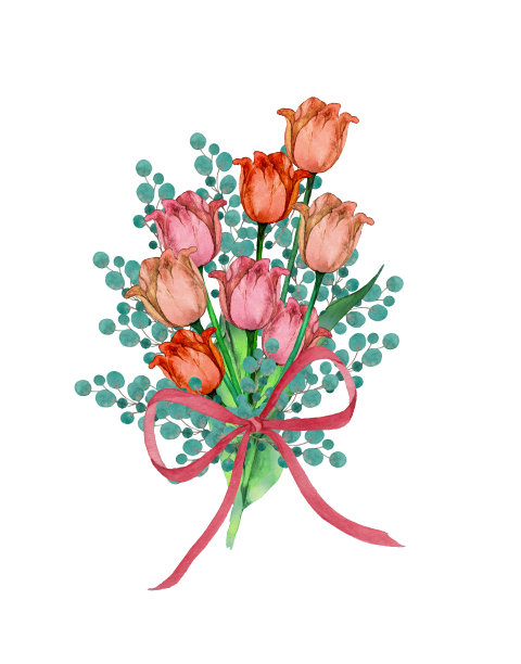 带丝带的郁金香花图片下载