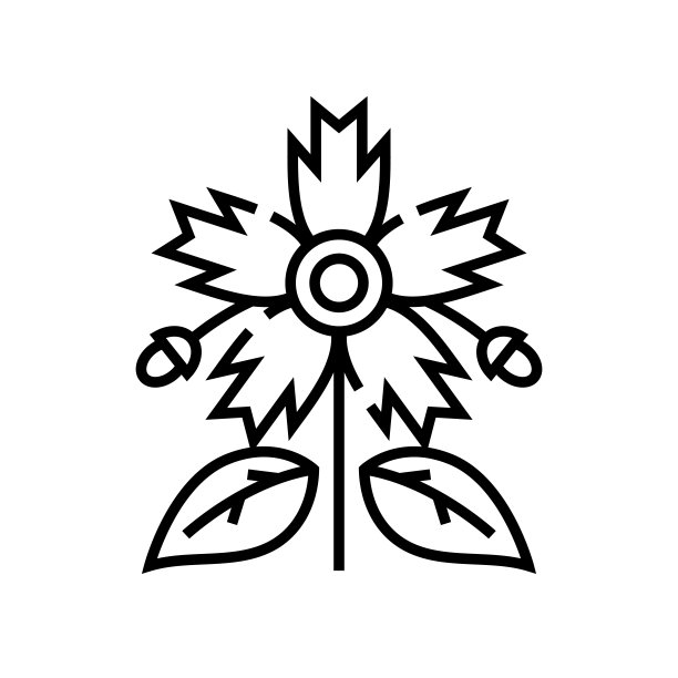 绽放的花朵线条图标，概念符号，轮廓矢量插图，线性符号图片下载