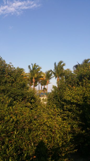 秘密的地方图片下载