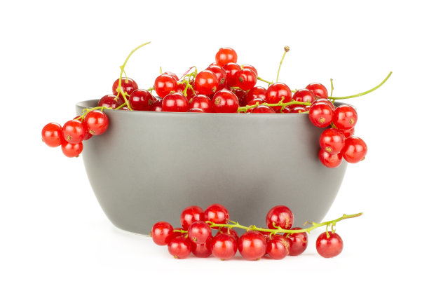 新鲜的生红加仑子孤立在白色图片下载