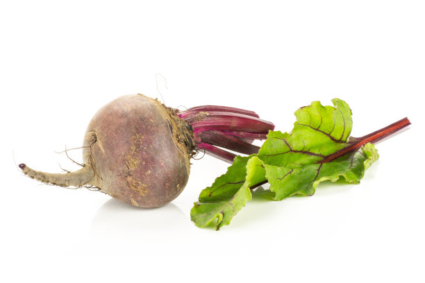新鲜的生红甜菜根分离在白色图片下载