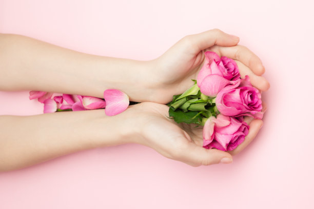 国际妇女节、情人节、母亲节概念：女性手持粉色背景的玫瑰花图片下载