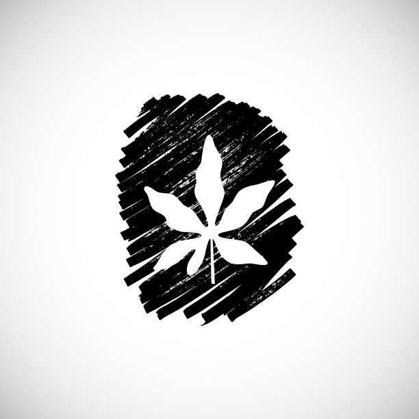 白色背景上的热带叶子。矢量插图。图片下载