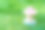 绿草上的蘑菇。具有绘图效果的背景。图片下载