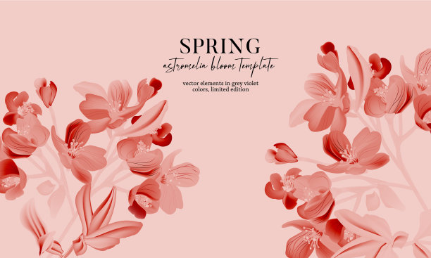 黑白粉色星形花开花现实向量卡。大型星形植物，自然设计用叶和花，花的春天装饰素材图片