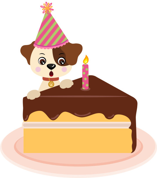 可爱的狗与生日帽和一片巧克力蛋糕和一支蜡烛图片下载