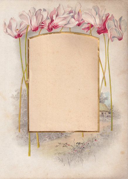 仙客来花框架图片下载