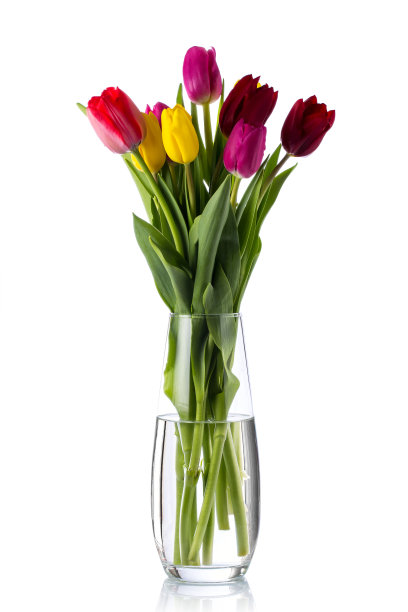 玻璃花瓶里的郁金香。图片下载