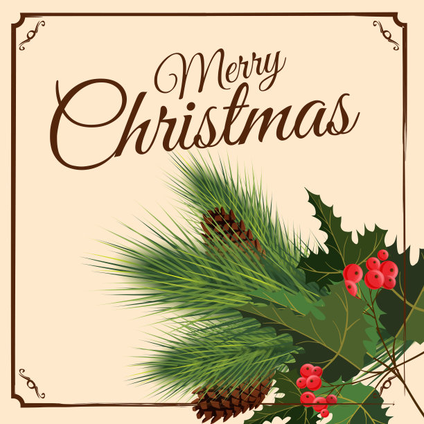 圣诞快乐和新年贺卡与圣诞装饰冷杉松果，冬青果。矢量插图，横幅，海报图片下载